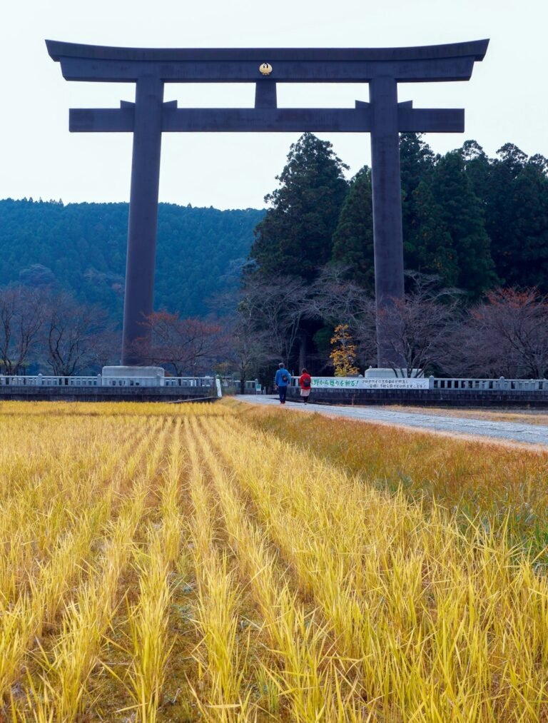 Torii gates at Fushimi Inari shrine in Kyoto, Japan